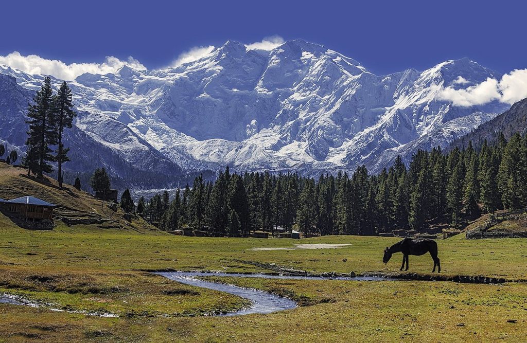 Fairy meadows pakistan