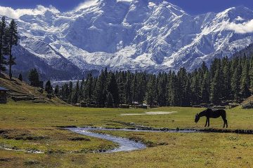 fairy meadows pakistan